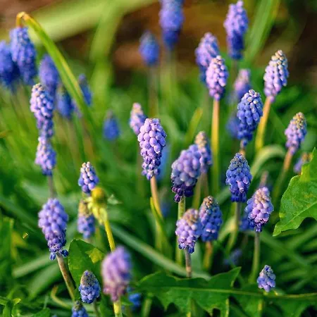 Lodge Drevenica Spiaci Goral Zdiar