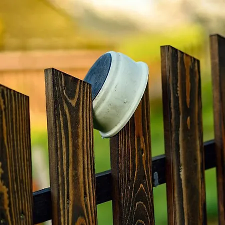 Drevenica Spiaci Goral * Zdiar