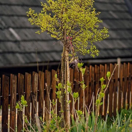 Drevenica Spiaci Goral 롯지