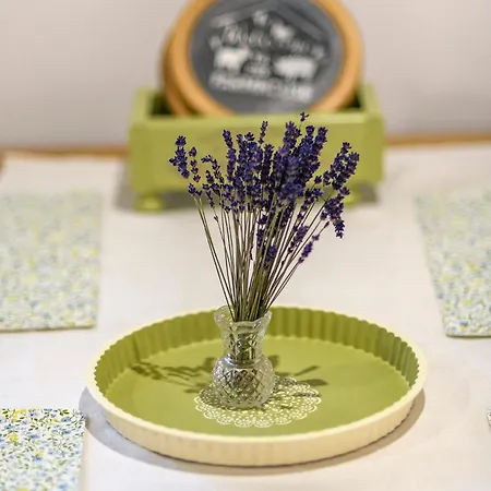 Lodge Drevenica Spiaci Goral *