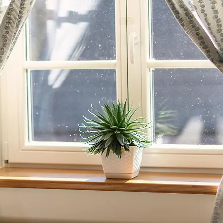 Drevenica Spiaci Goral * Zdiar