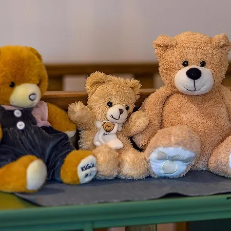 Lodge Drevenica Spiaci Goral